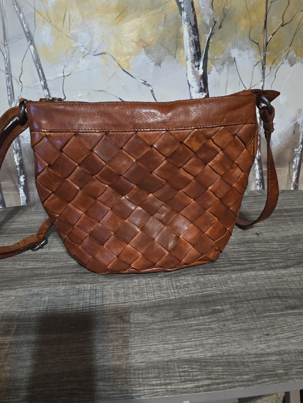Vilenca Woven Leather Crossbody Bag in Brown